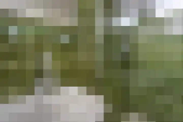 Dr.Ariënsstraat 3 Gennep thumbnail 25