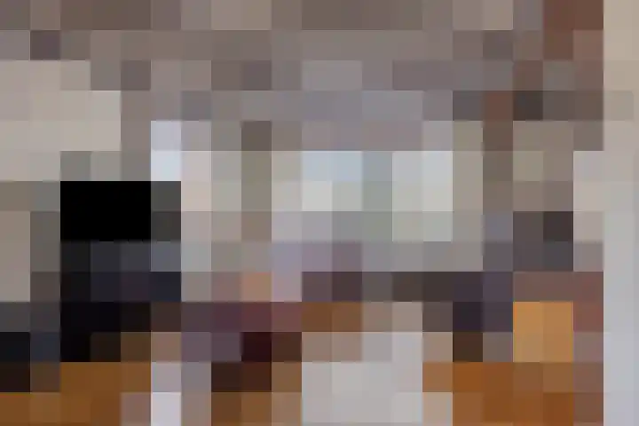 Dr. Ariënsstraat 4 Berghem thumbnail 11
