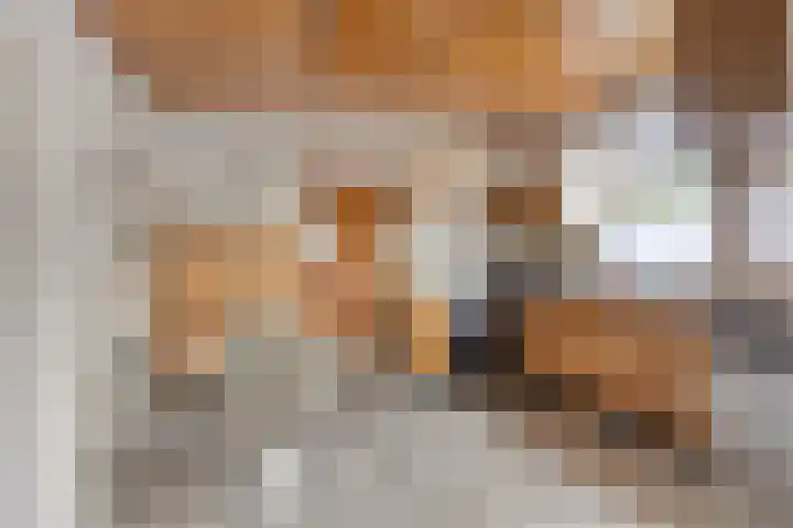 Dr. Ariënsstraat 4 Berghem thumbnail 16