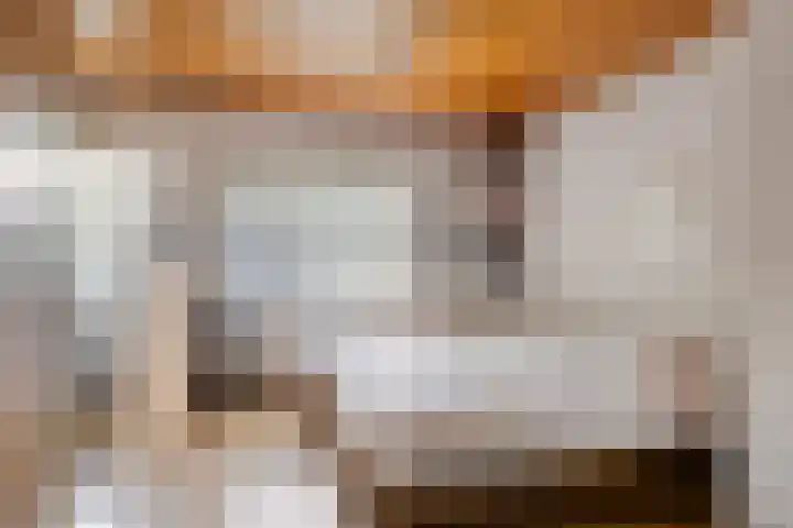 Dr. Ariënsstraat 4 Berghem thumbnail 21