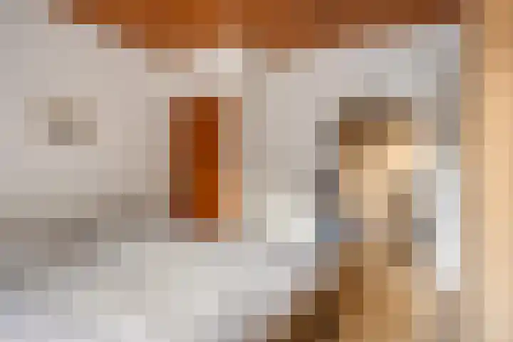 Dr. Ariënsstraat 4 Berghem thumbnail 22