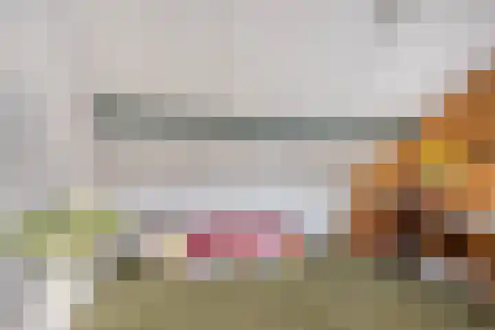Dr. Ariënsstraat 4 Berghem thumbnail 27