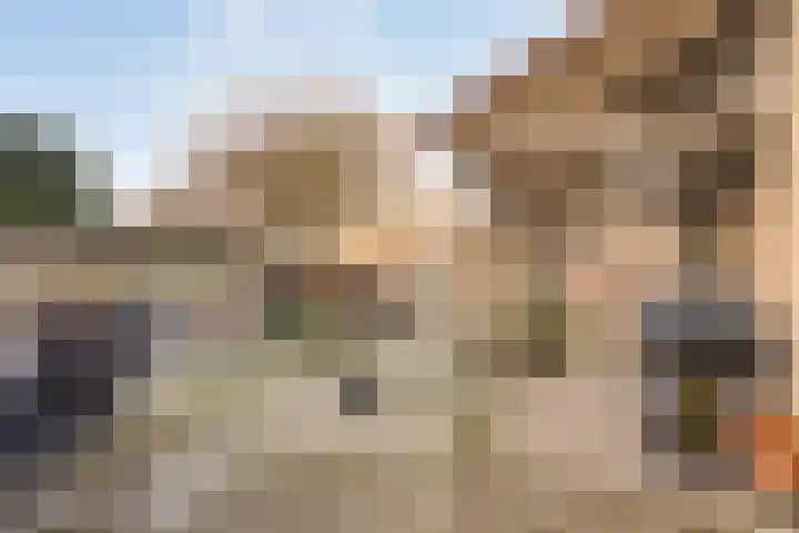 Dr. Ariënsstraat 4 Berghem thumbnail 31