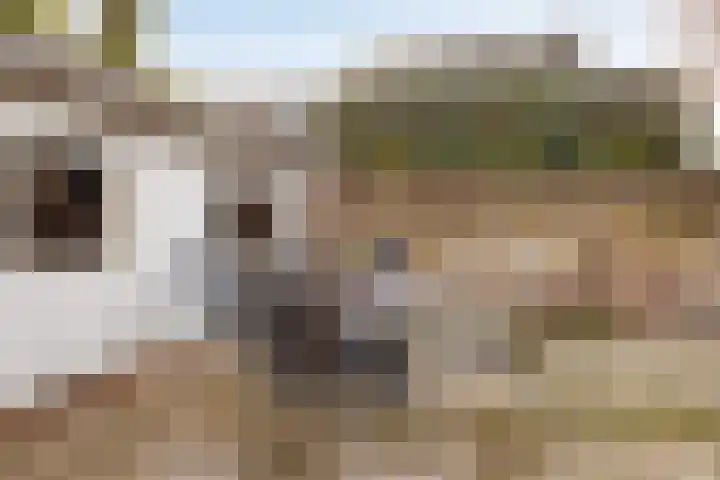Dr. Ariënsstraat 4 Berghem thumbnail 32