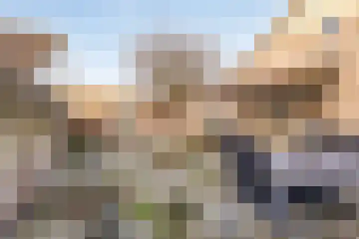Dr. Ariënsstraat 4 Berghem thumbnail 33
