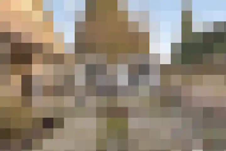 Dr. Ariënsstraat 4 Berghem thumbnail 35