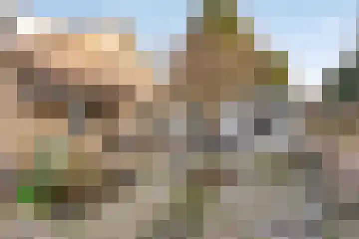 Dr. Ariënsstraat 4 Berghem thumbnail 36
