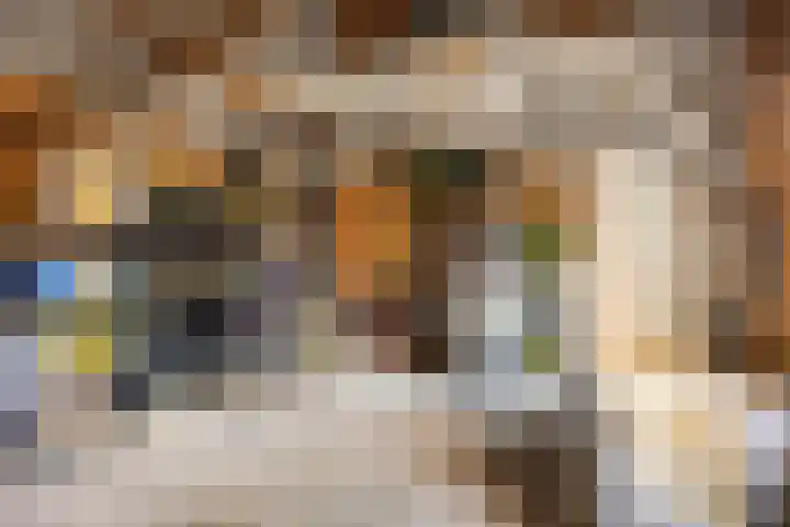 Dr. Ariënsstraat 4 Berghem thumbnail 37
