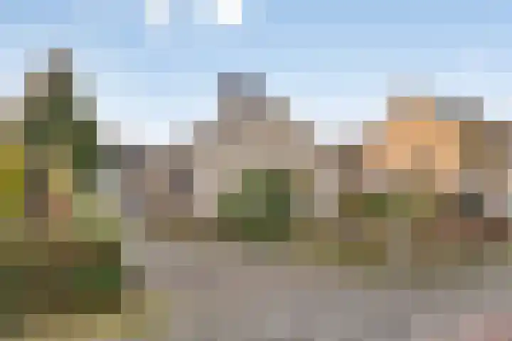 Dr. Ariënsstraat 4 Berghem thumbnail 39