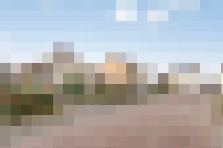 Dr. Ariënsstraat 4 Berghem thumbnail 40