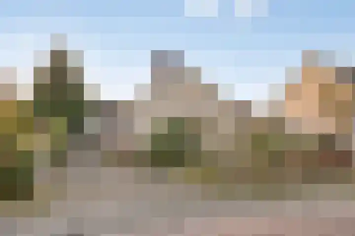 Dr. Ariënsstraat 4 Berghem thumbnail 5