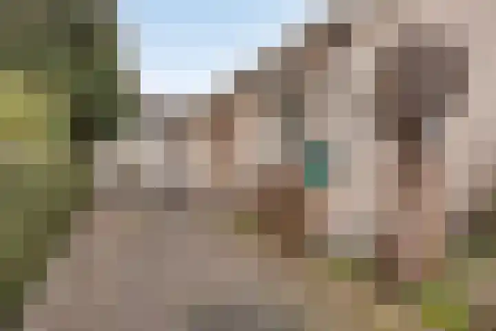 Dr. Ariënsstraat 4 Berghem thumbnail 6