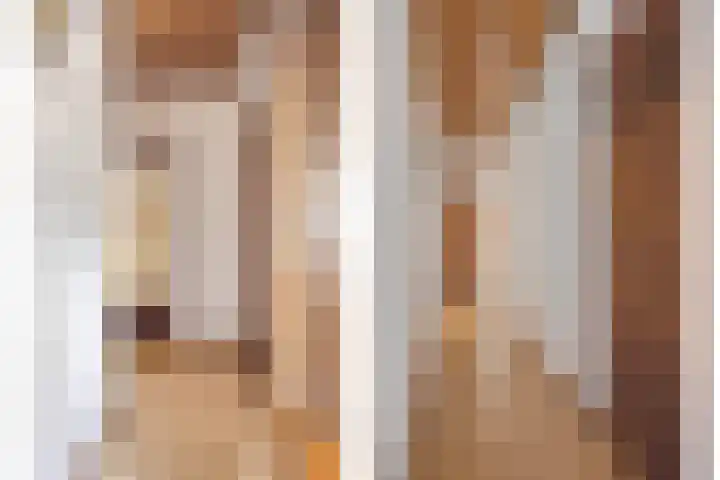 Dr. Ariënsstraat 4 Berghem thumbnail 9