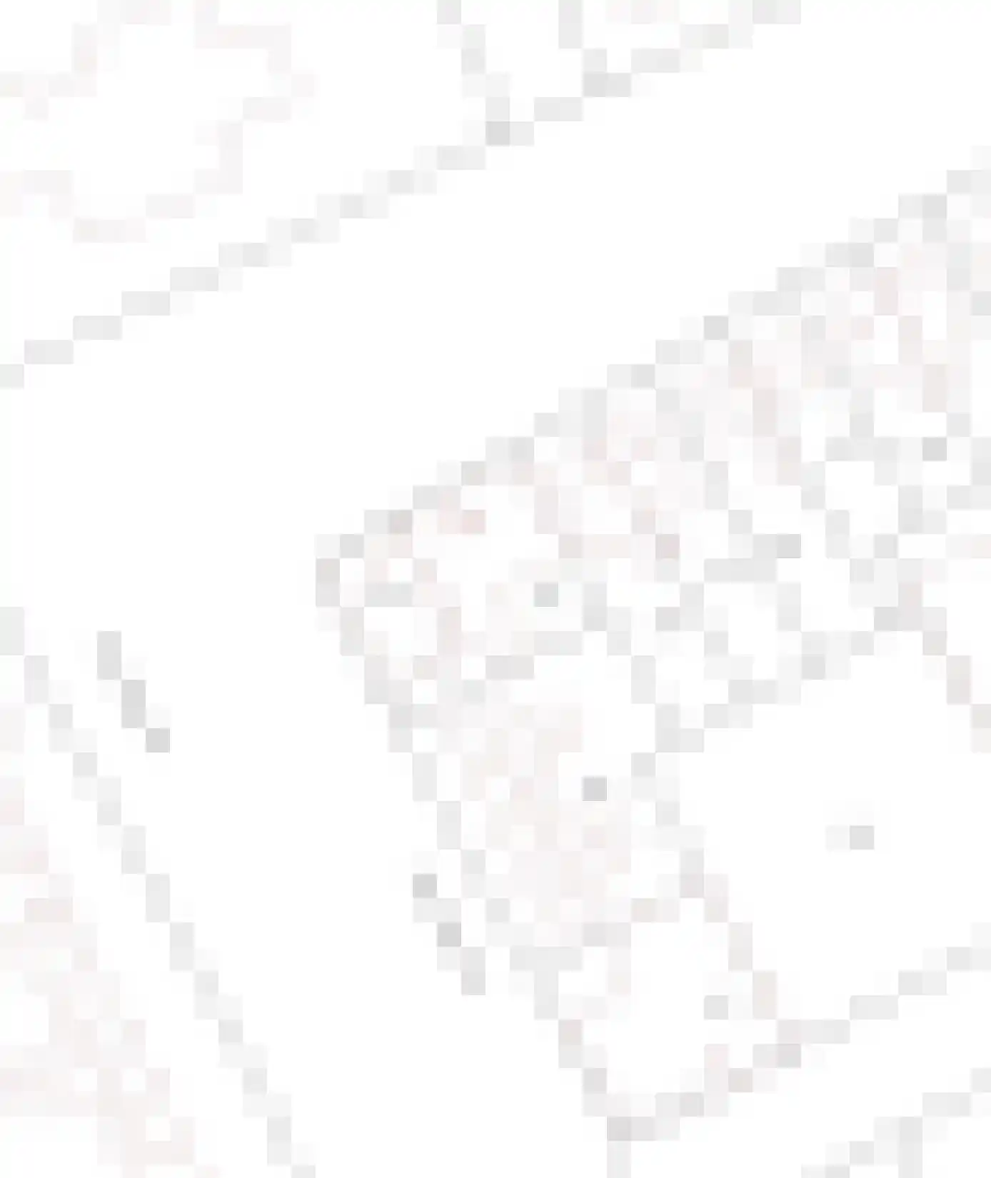 Dr. Ariënsstraat 61 b Oldenzaal thumbnail 37