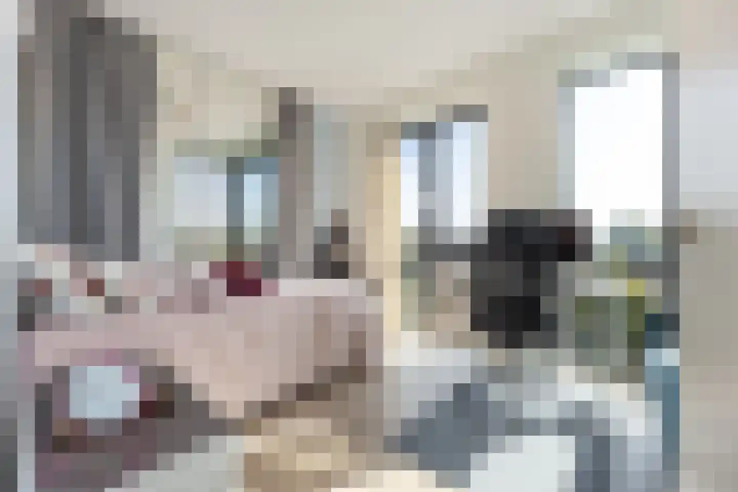 Dr. Ariënsstraat 69 Hengelo thumbnail 24