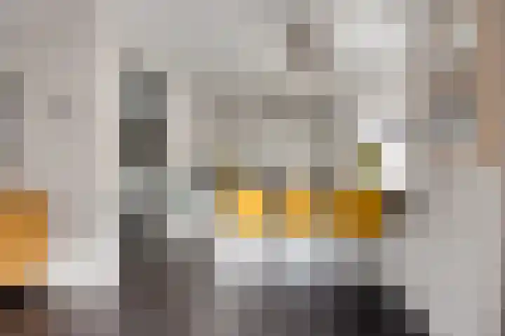 Dr. Ariënsstraat 73 Oldenzaal thumbnail 9