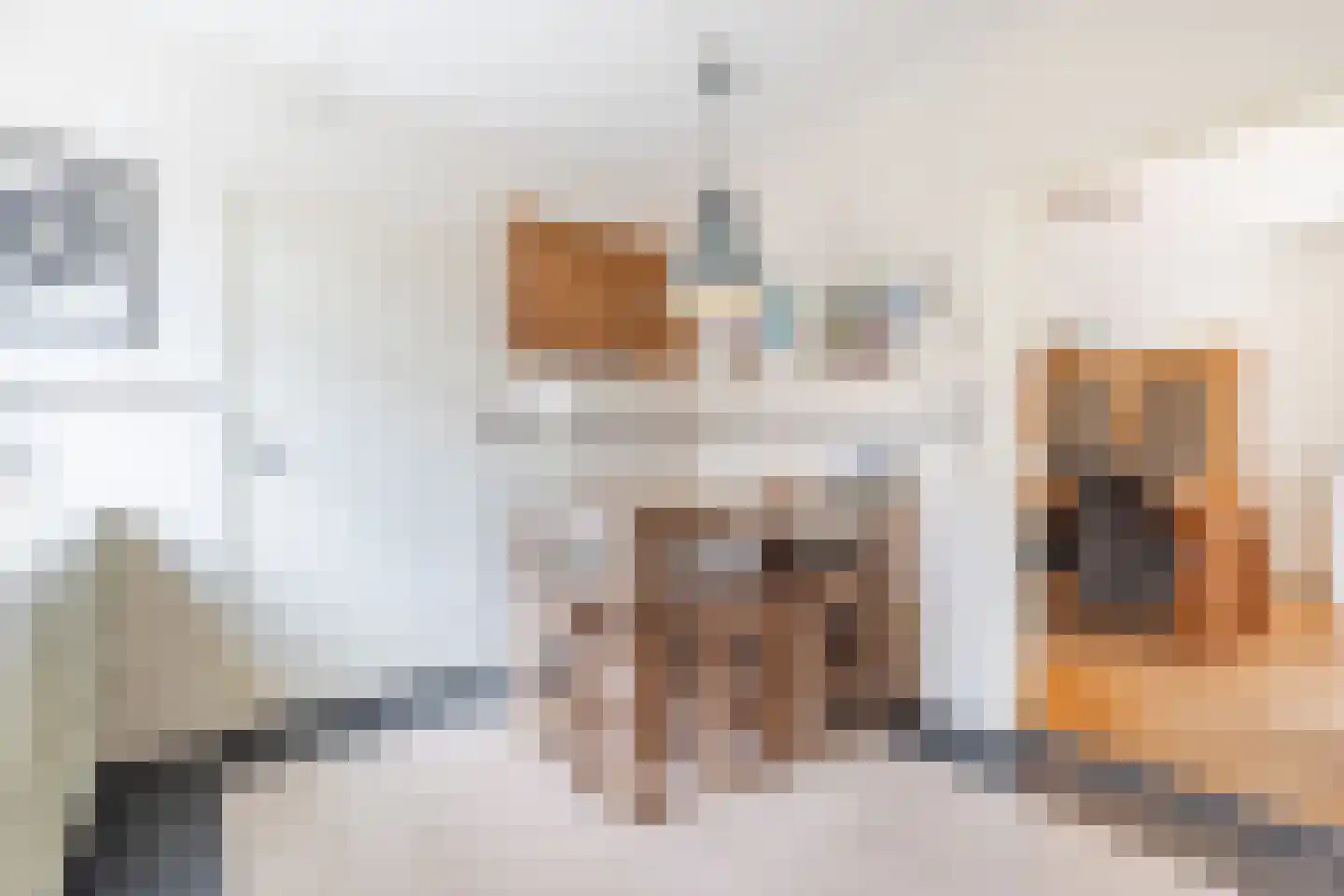 Dr. Arntzstraat 20 Mill thumbnail 11
