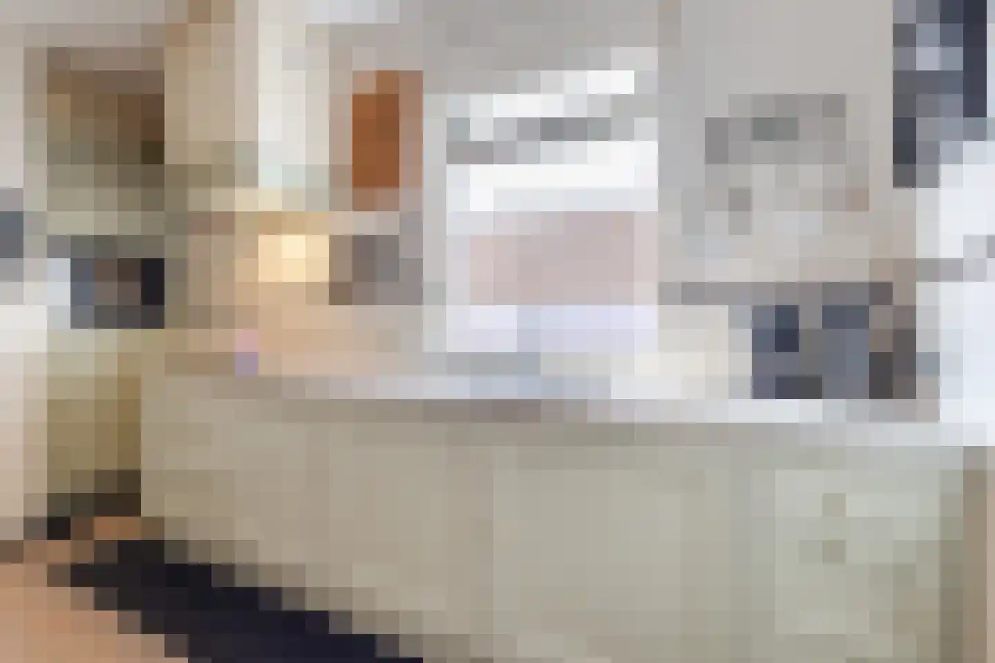 Dr. Arntzstraat 20 Mill thumbnail 13