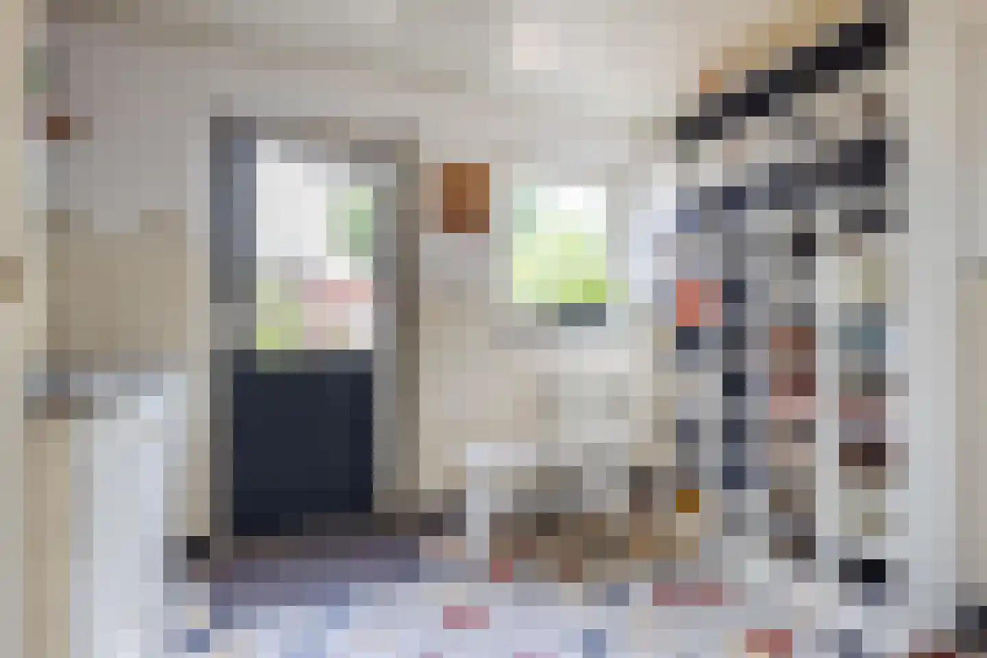 Dr. Arntzstraat 20 Mill thumbnail 14