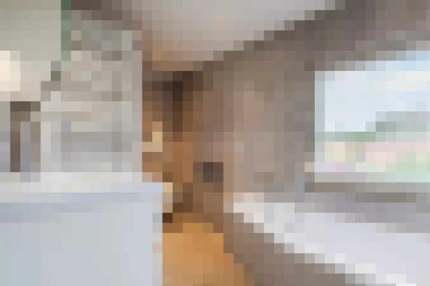 Dr. Arntzstraat 20 Mill thumbnail 21