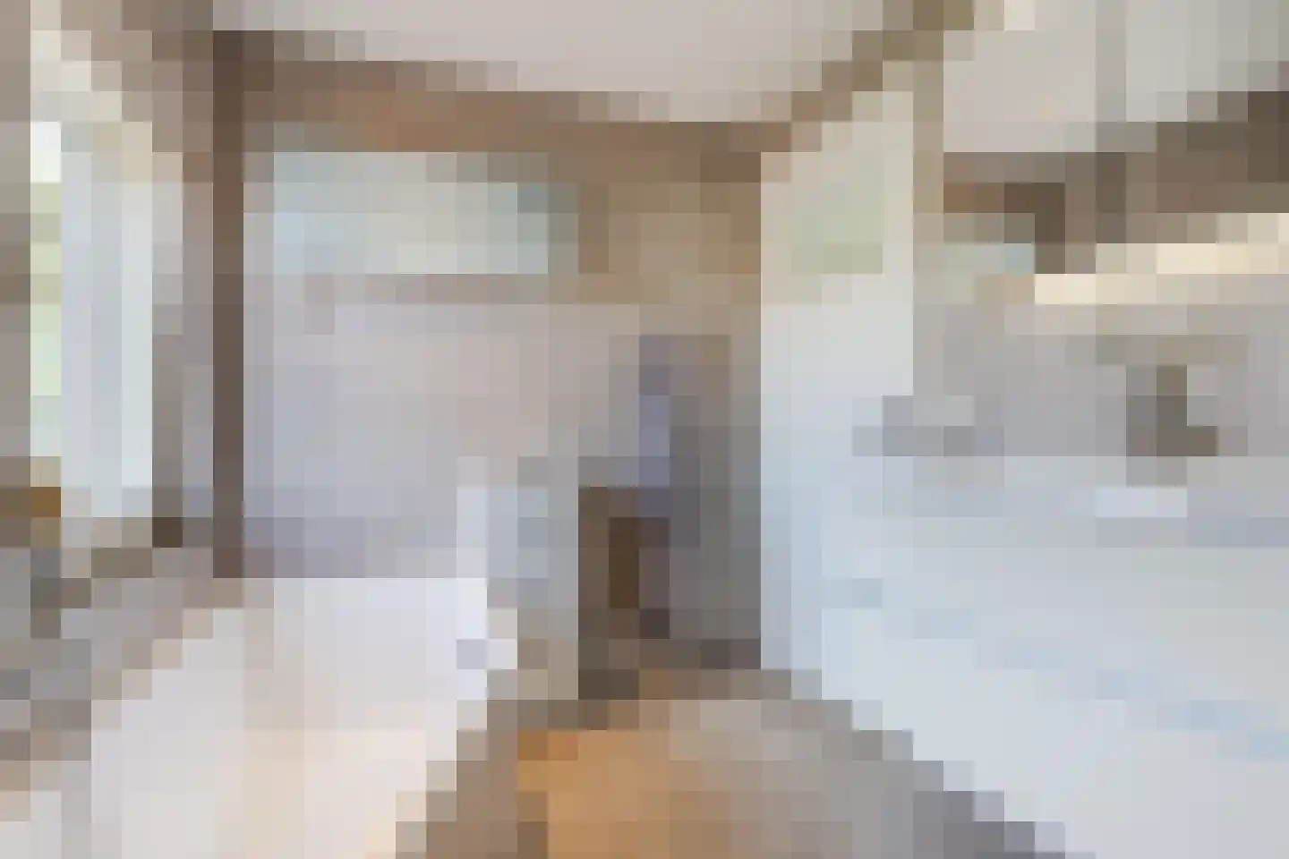 Dr. Arntzstraat 20 Mill thumbnail 22