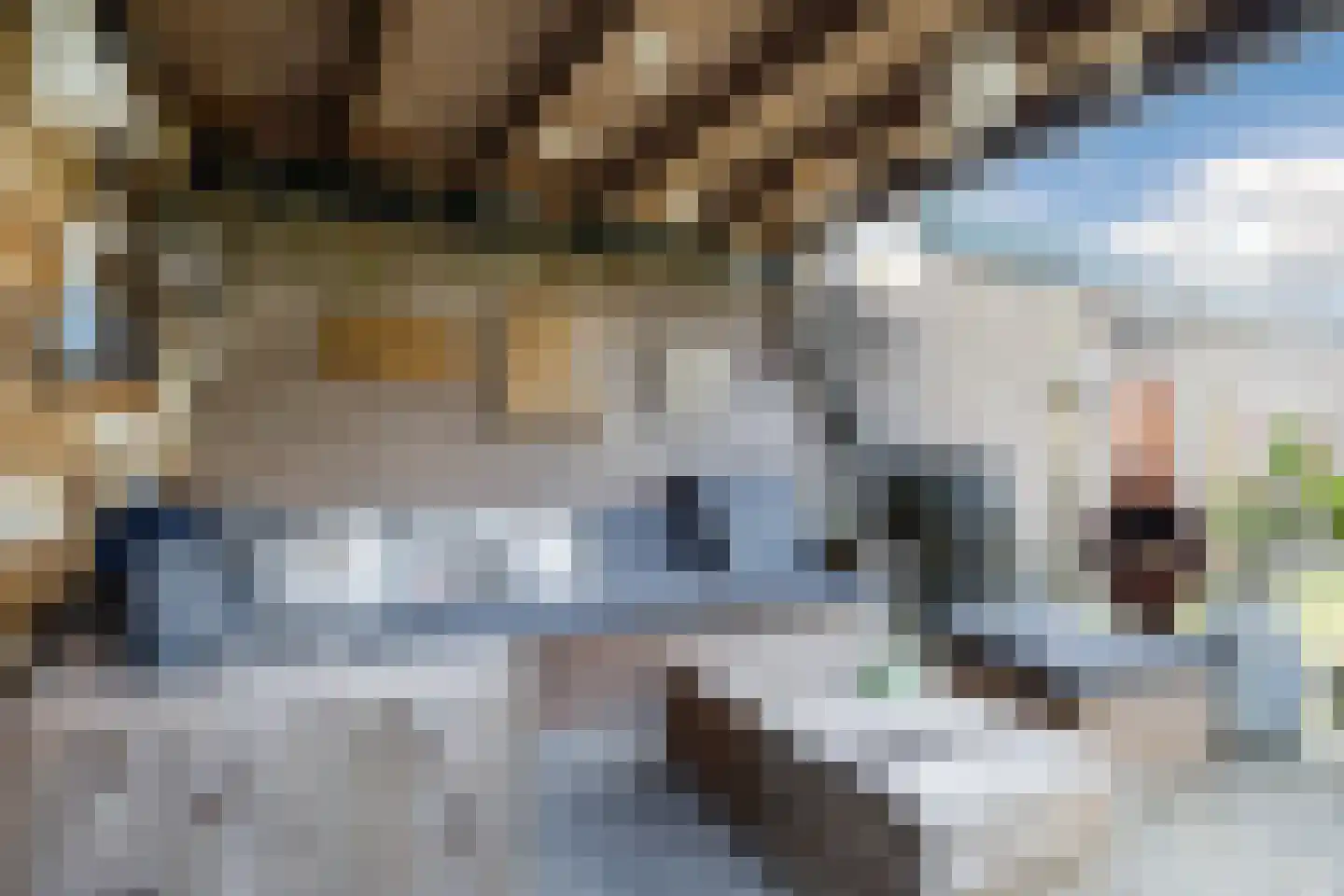Dr. Arntzstraat 20 Mill thumbnail 26
