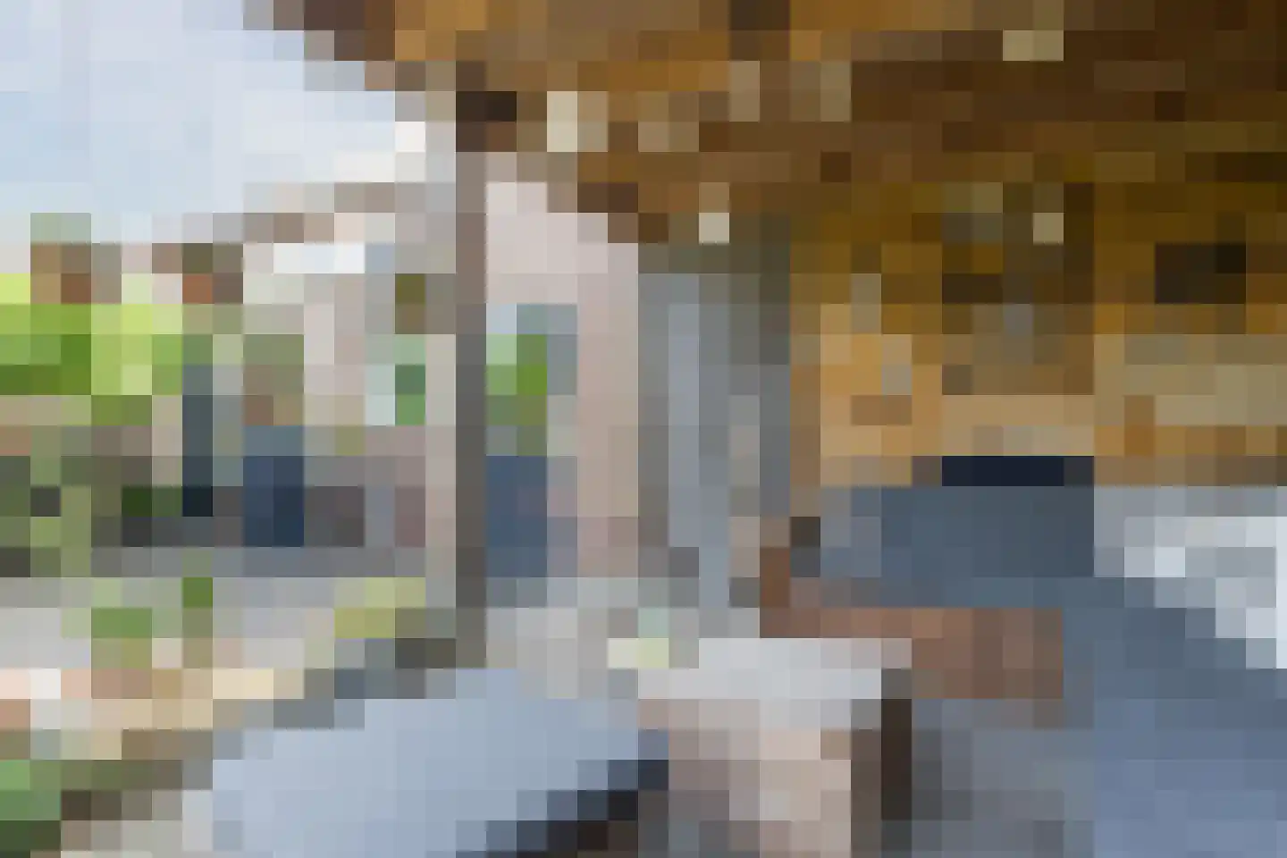 Dr. Arntzstraat 20 Mill thumbnail 27
