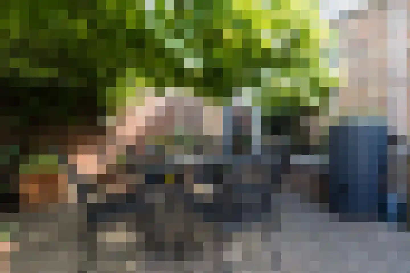 Dr. Arntzstraat 20 Mill thumbnail 28