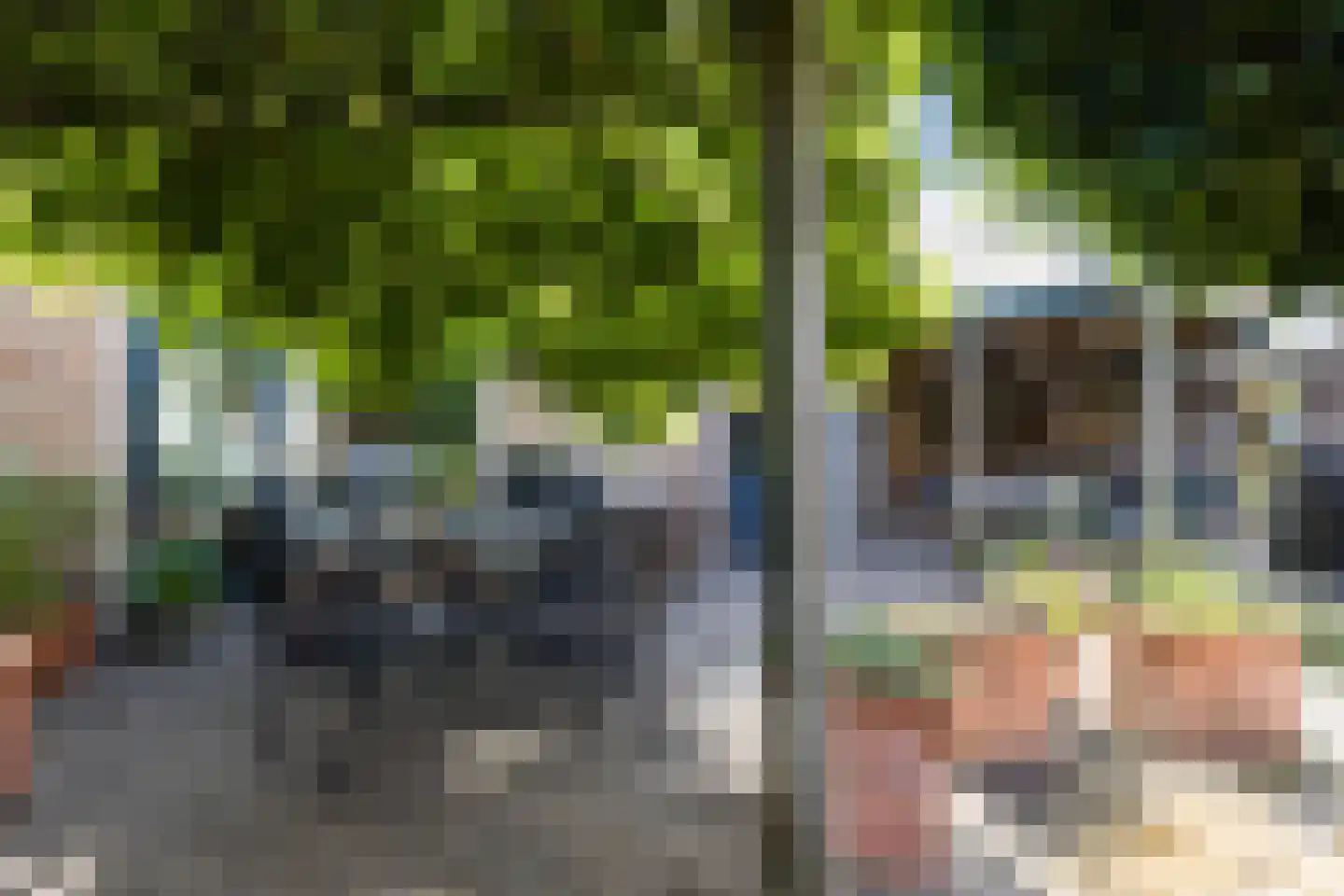 Dr. Arntzstraat 20 Mill thumbnail 29