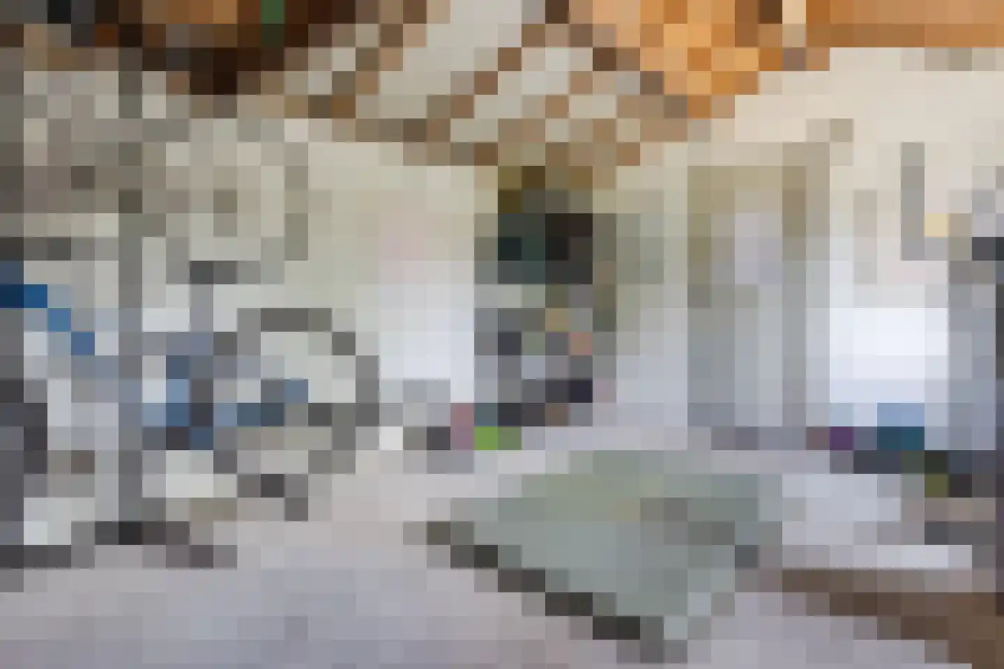 Dr. Arntzstraat 20 Mill thumbnail 32