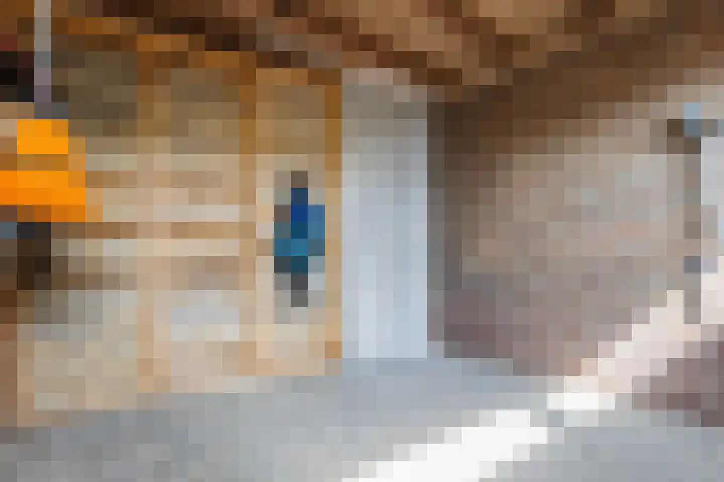 Dr. Arntzstraat 20 Mill thumbnail 34