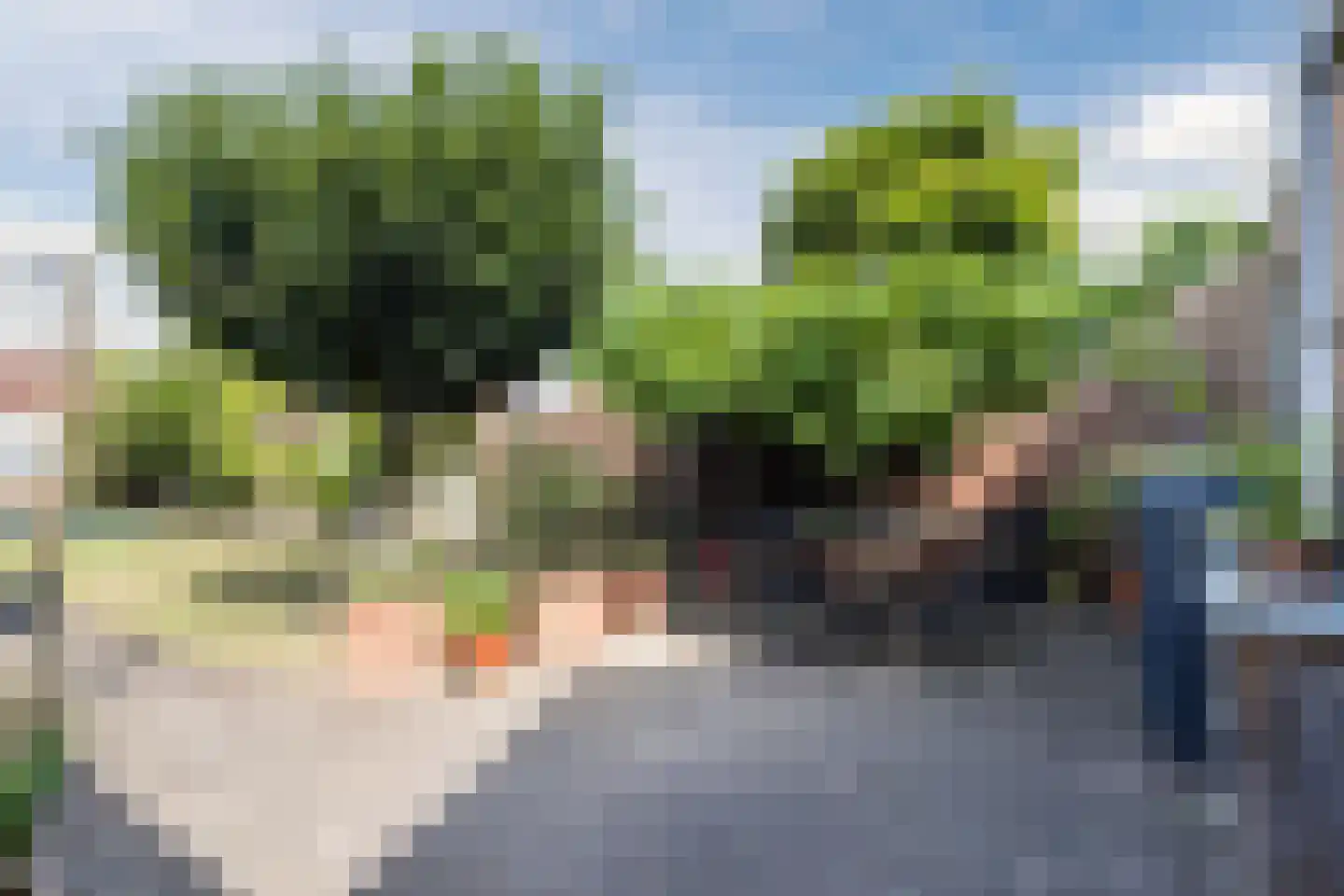 Dr. Arntzstraat 20 Mill thumbnail 4