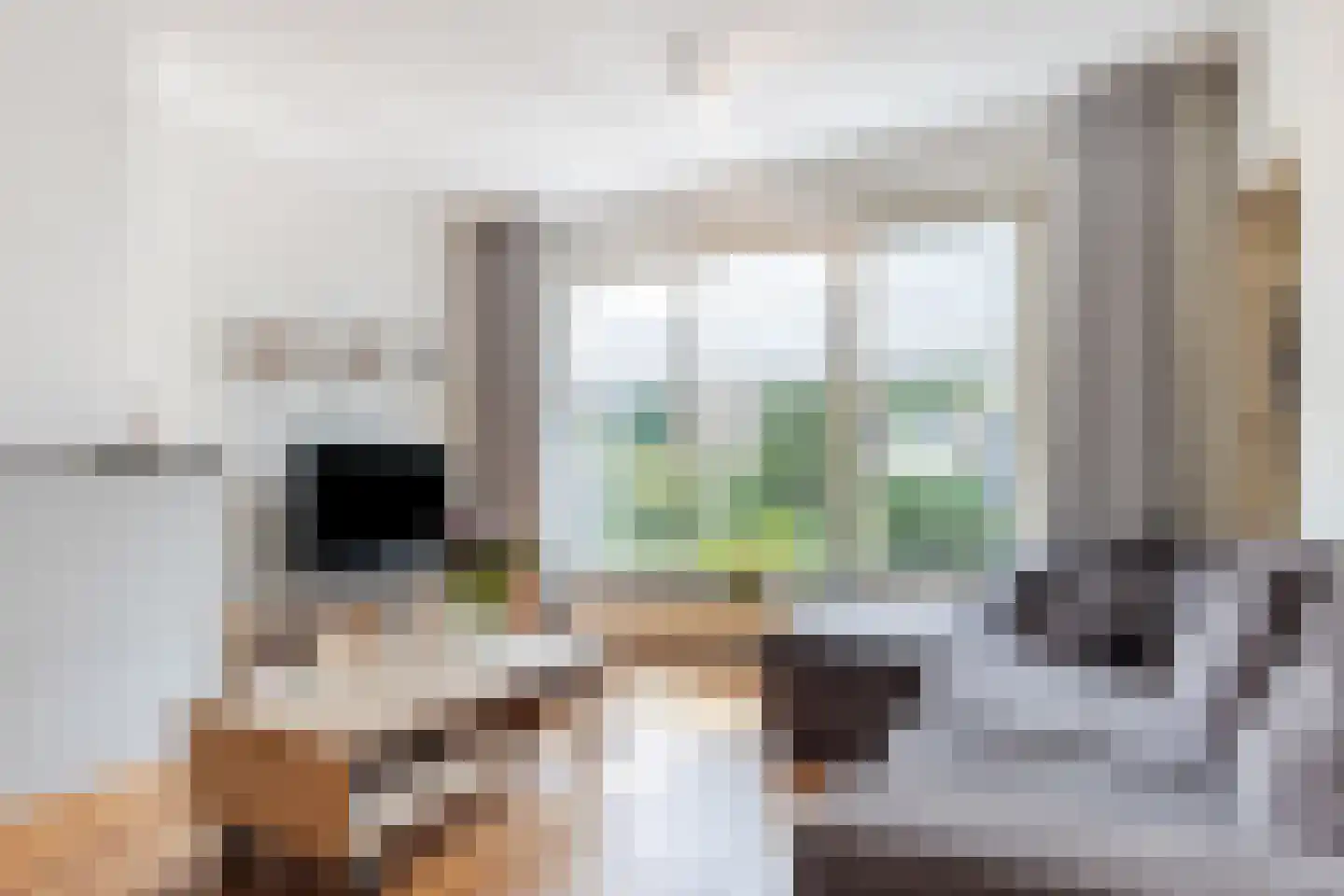 Dr. Arntzstraat 20 Mill thumbnail 6