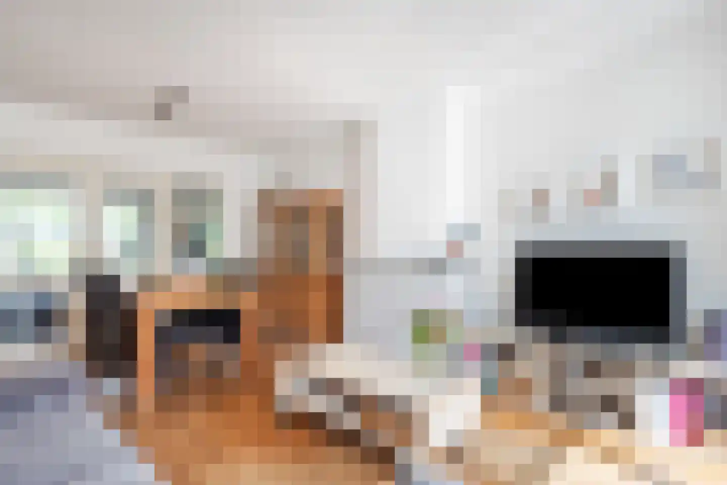 Dr. Arntzstraat 20 Mill thumbnail 7