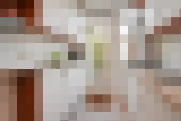 Dr Augustijnlaan 10 a Rijswijk thumbnail 17