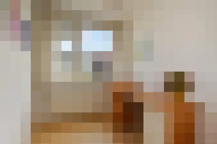 Dr Augustijnlaan 10 a Rijswijk thumbnail 26