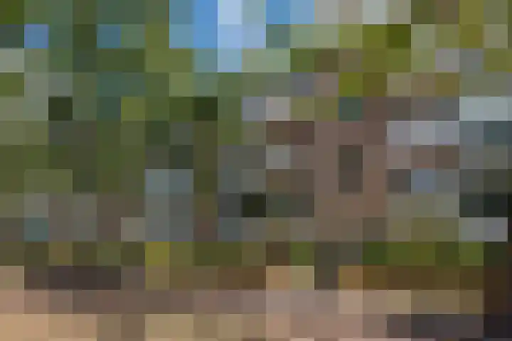 Dr Augustijnlaan 113 in Rijswijk