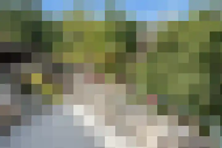 Dr Augustijnlaan 113 Rijswijk thumbnail 12