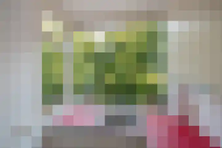 Dr Augustijnlaan 113 Rijswijk thumbnail 13