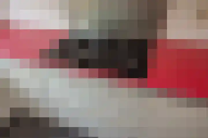 Dr Augustijnlaan 113 Rijswijk thumbnail 14