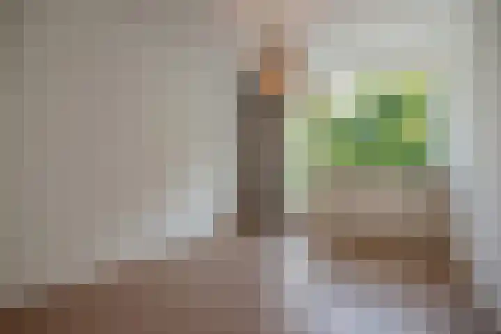 Dr Augustijnlaan 113 Rijswijk thumbnail 16
