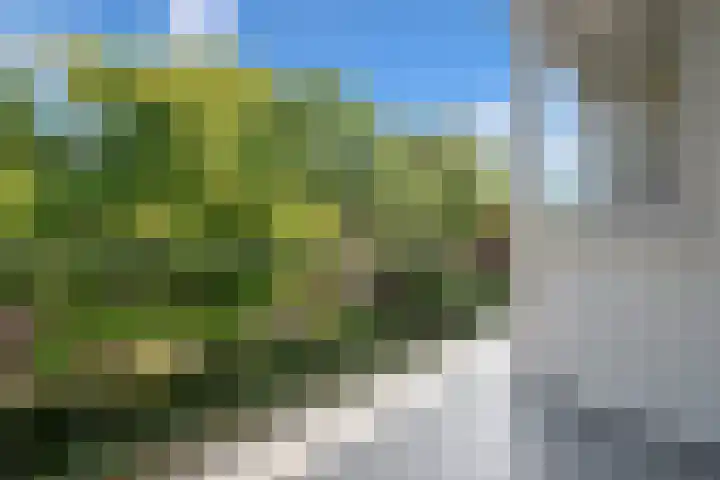 Dr Augustijnlaan 113 Rijswijk thumbnail 19