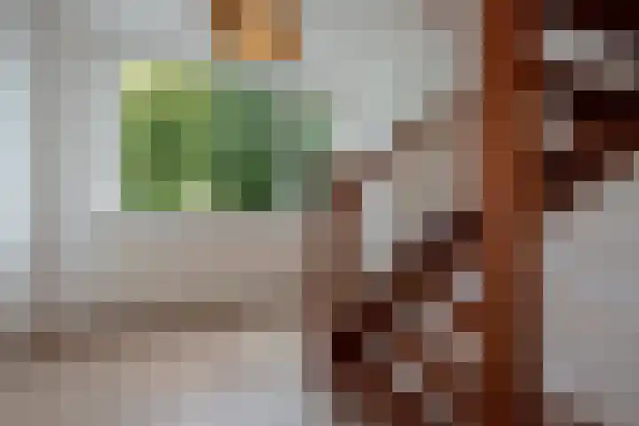 Dr Augustijnlaan 113 Rijswijk thumbnail 21