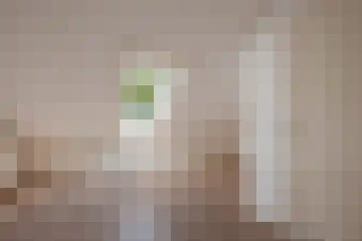 Dr Augustijnlaan 113 Rijswijk thumbnail 27
