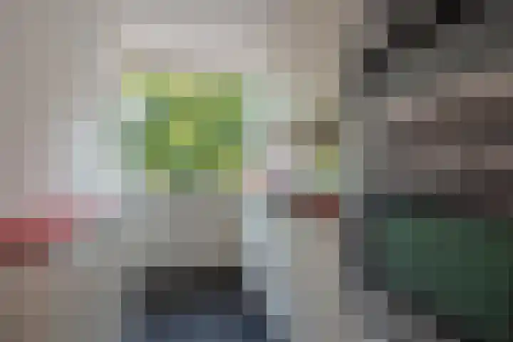 Dr Augustijnlaan 113 Rijswijk thumbnail 4