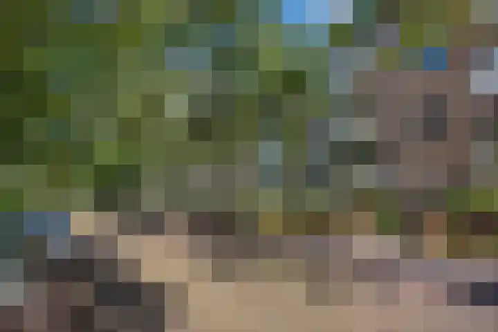 Dr Augustijnlaan 113 Rijswijk thumbnail 5