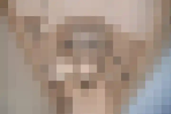 Dr Augustijnlaan 113 Rijswijk thumbnail 7