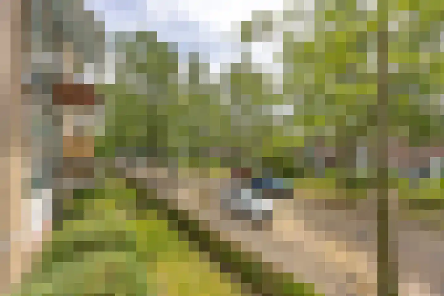 Dr Augustijnlaan 119 Rijswijk thumbnail 12