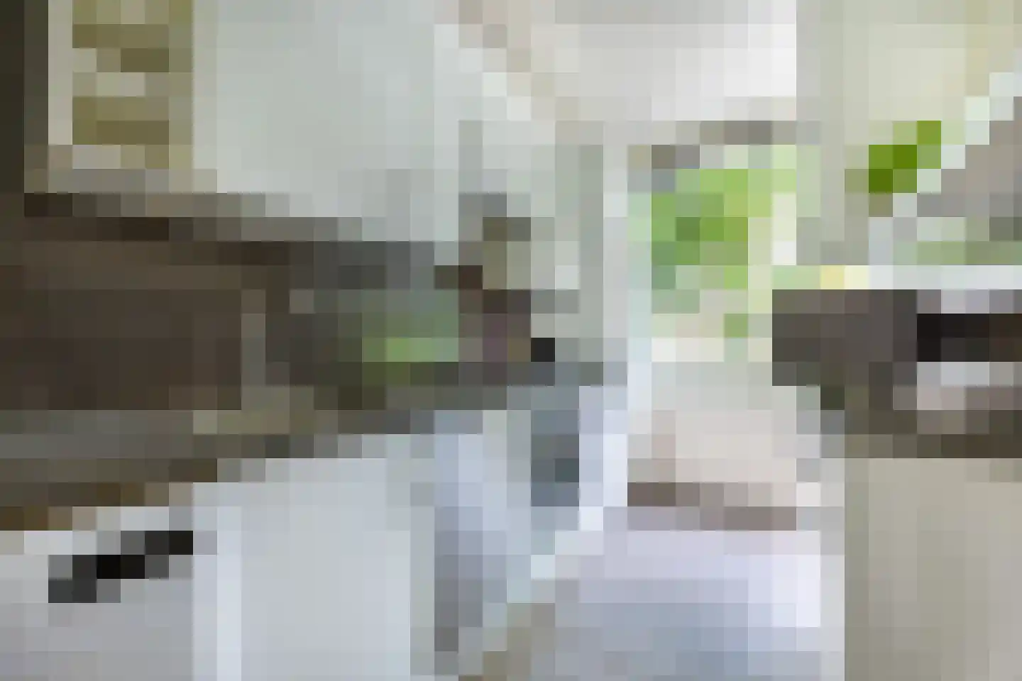 Dr Augustijnlaan 119 Rijswijk thumbnail 17