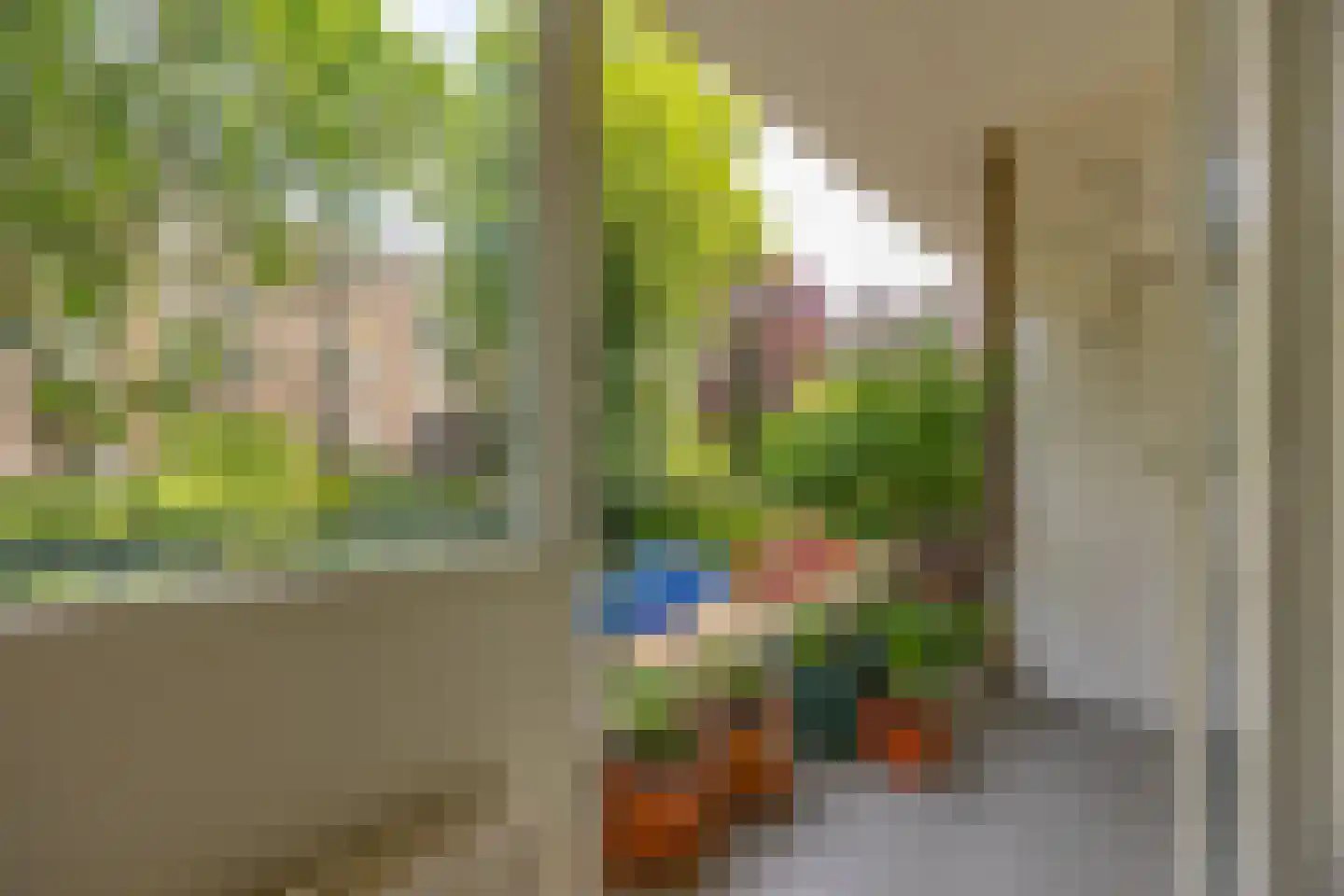 Dr Augustijnlaan 119 Rijswijk thumbnail 18
